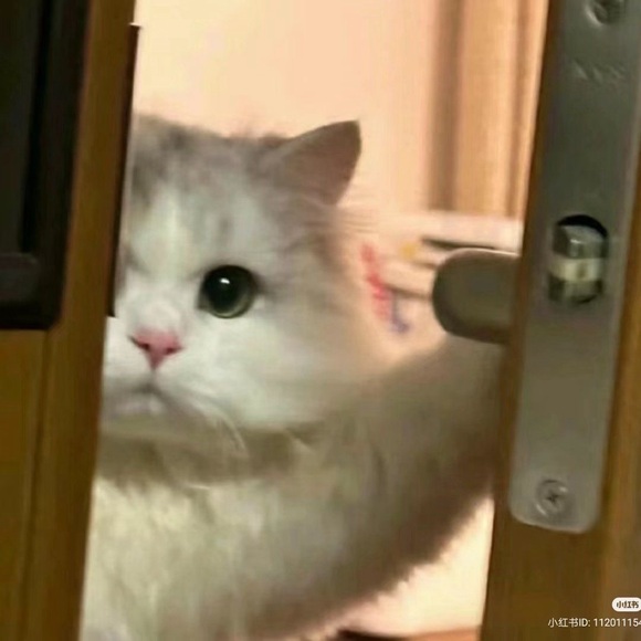 estelle_09